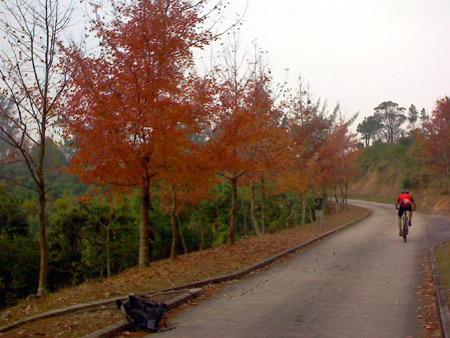 p527c280.jpg