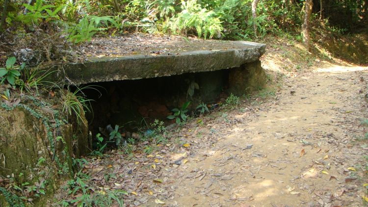 DSC01972.jpg