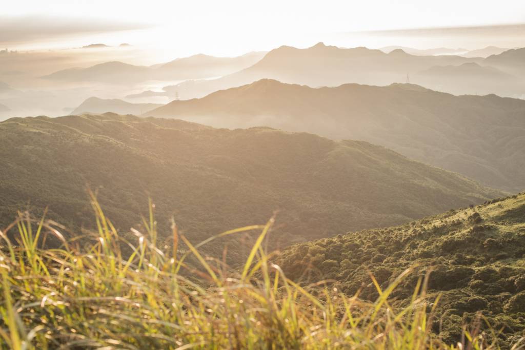 20130828 大帽山1-13.jpg