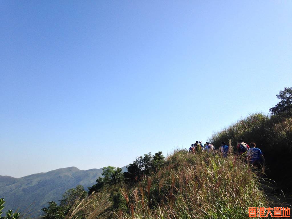 IMG_4732.jpg