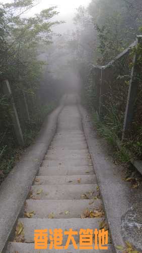 IMAG3872.jpg
