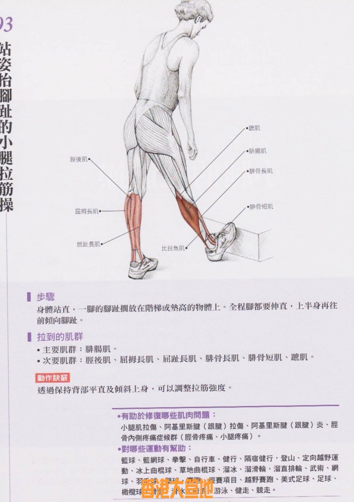 拉筋 3.jpg