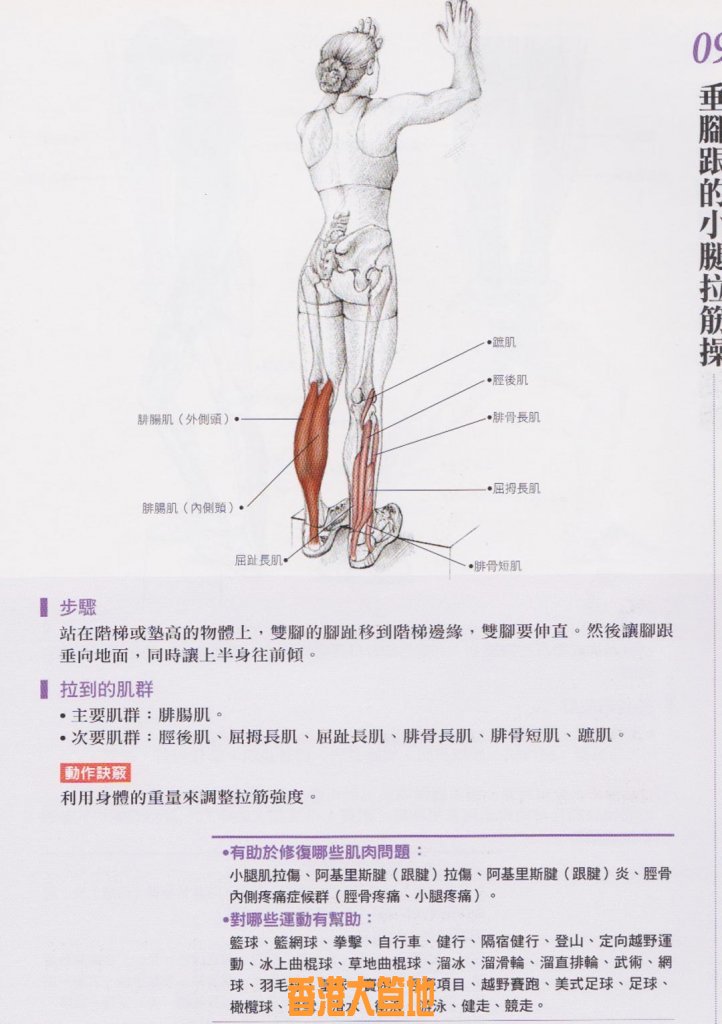 拉筋 4.jpg