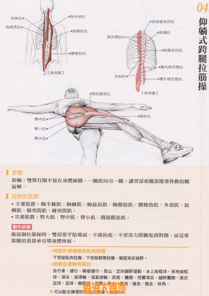 拉筋 6.jpg