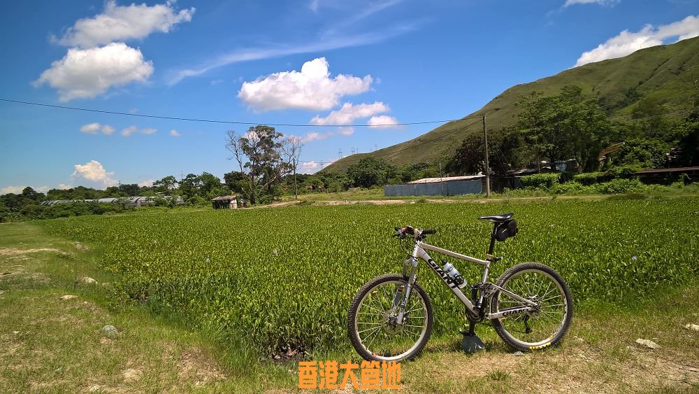 WP_20160619_10_50_58_Pro.jpg