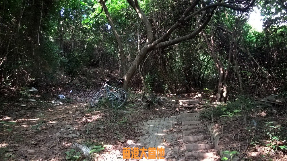 楊屋新村村路盡頭上樓梯