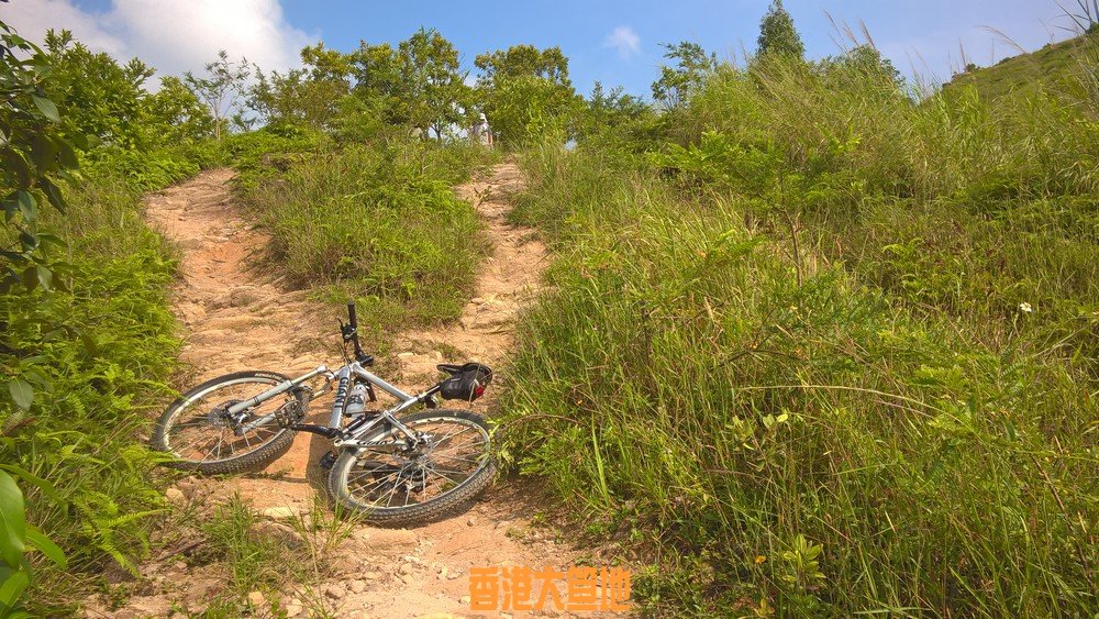 髻山山脊路