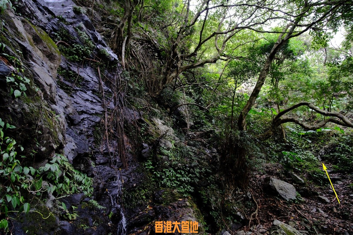 DSCF5352.JPG