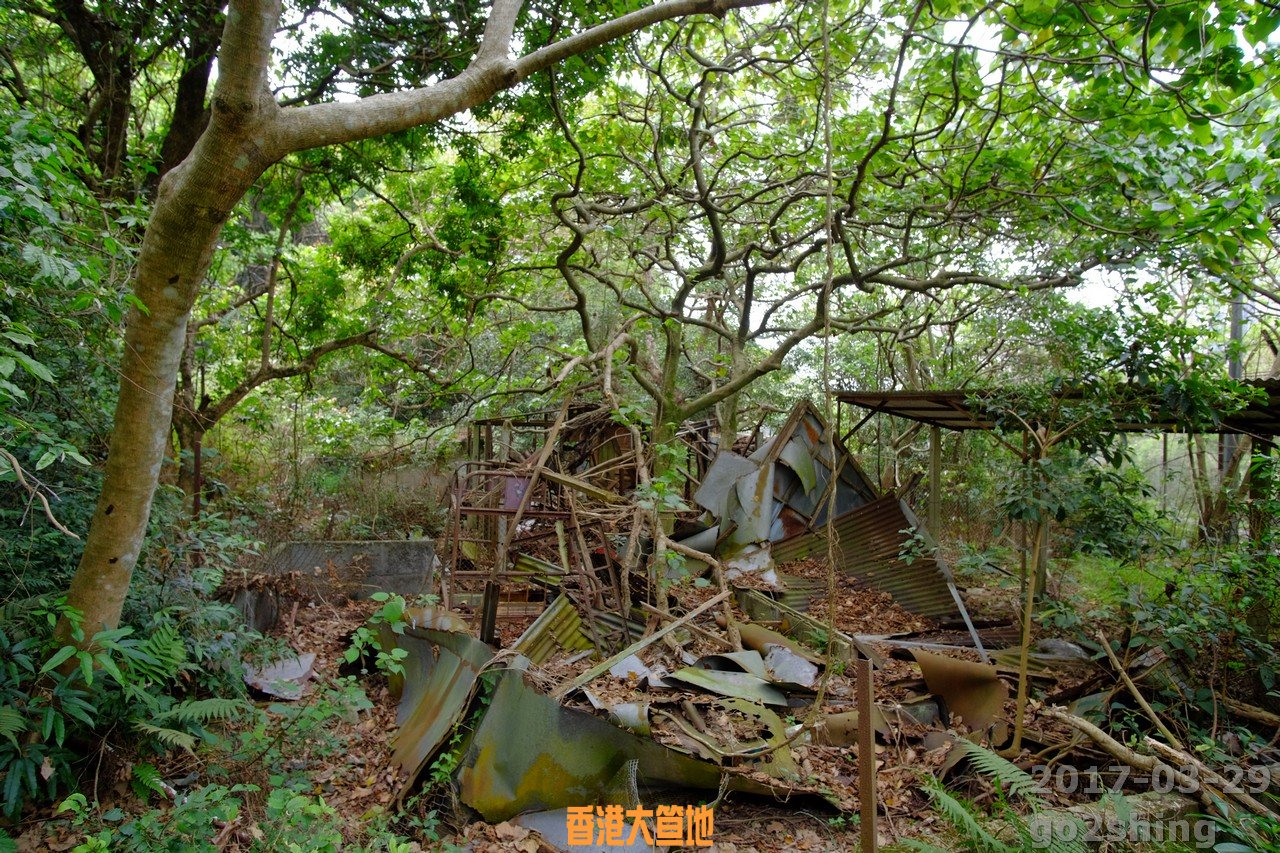DSCF6524.jpg