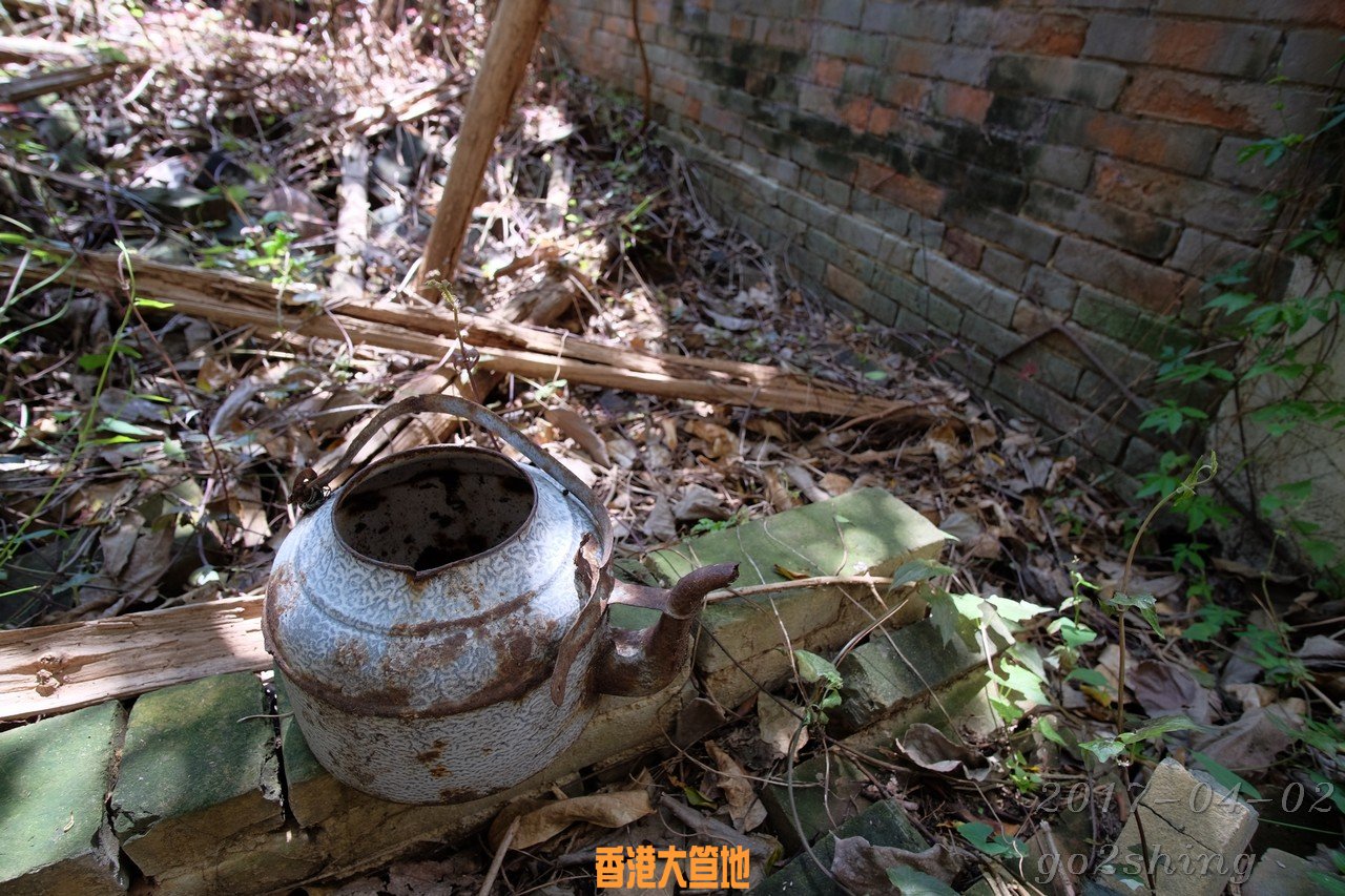 DSCF6817.jpg
