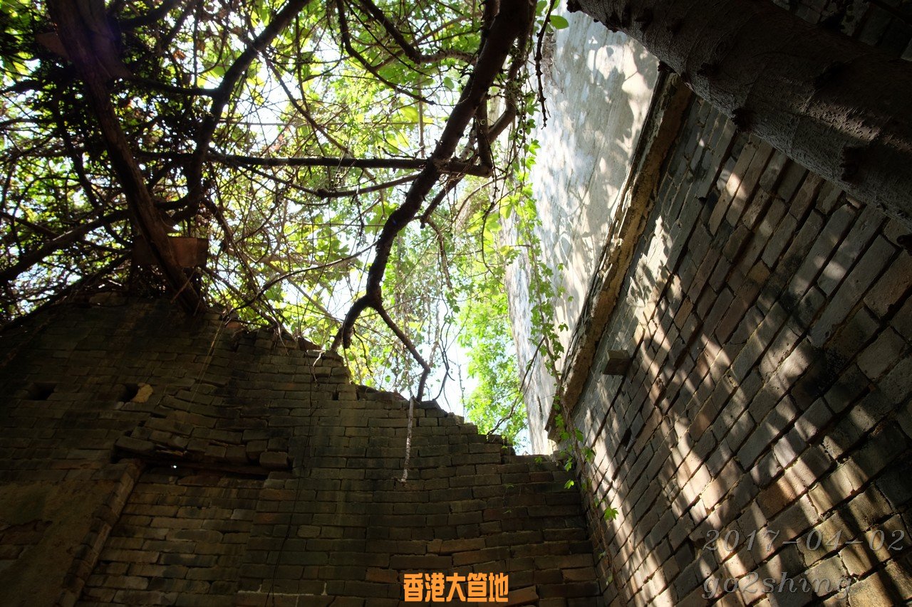 DSCF6828.jpg