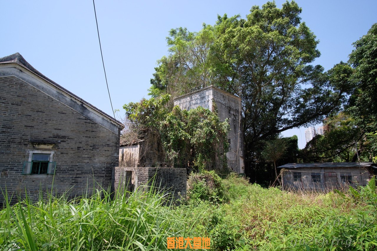 DSCF6845.jpg