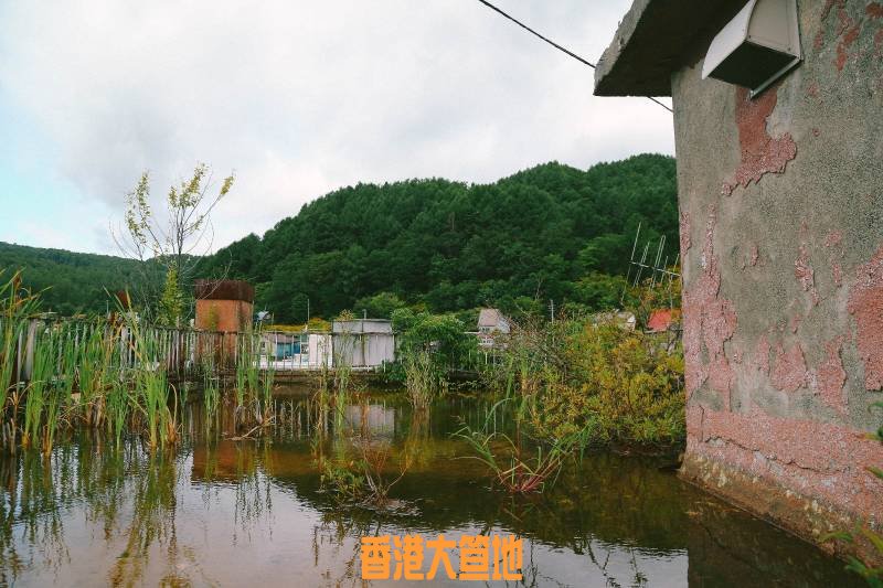 WhatsApp Image 2017-12-12 at 18.27.20 (16).jpeg