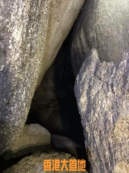 12510DBE-03FE-4B4E-B3D1-E35488565F01.jpeg