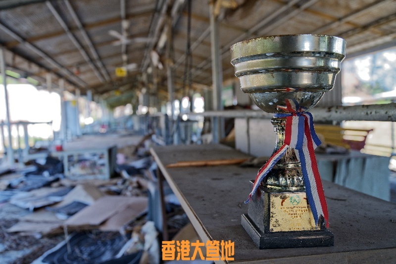 DSC04216_DxO.jpg