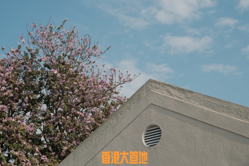 小芳園.JPG