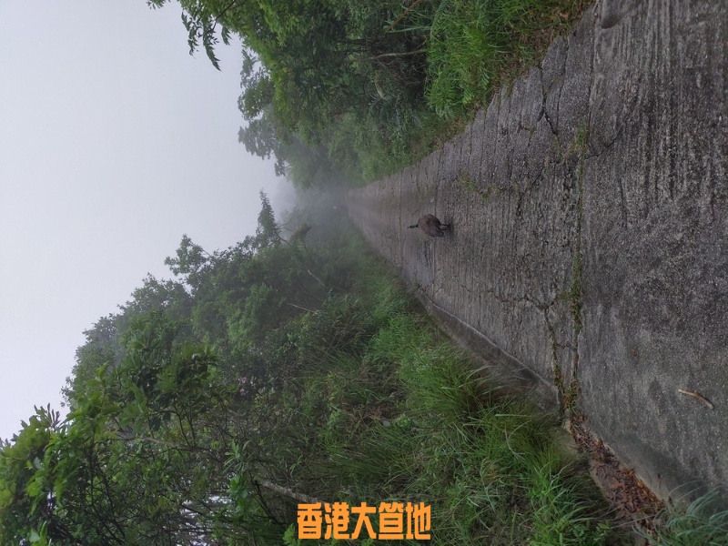 IMG_20190513_091931.jpg