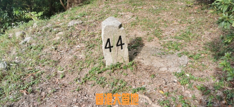 WhatsApp Image 2020-07-29 at 22.37.26.jpeg