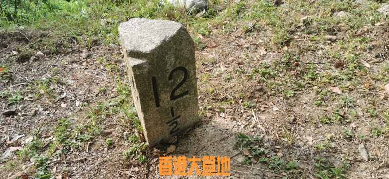 WhatsApp Image 2020-07-29 at 22.37.26 (1).jpeg