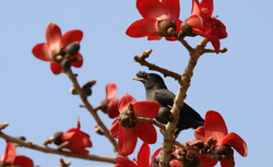 屯門河畔公園 19-03-2025
