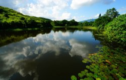 山雞乙蓄水湖